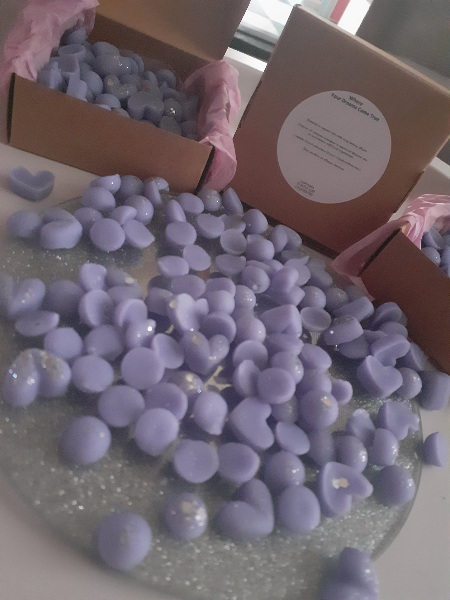where your dreams come true scoopies