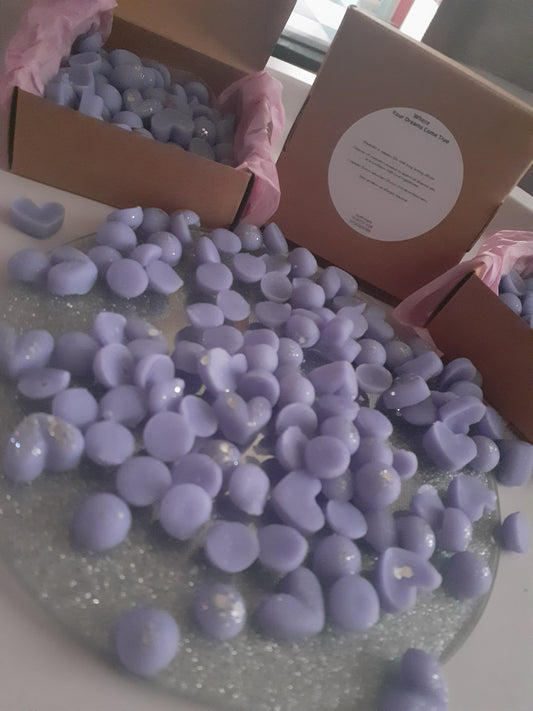 where your dreams come true scoopies